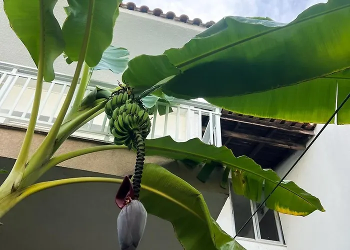 Banana Leaf House Apartment *